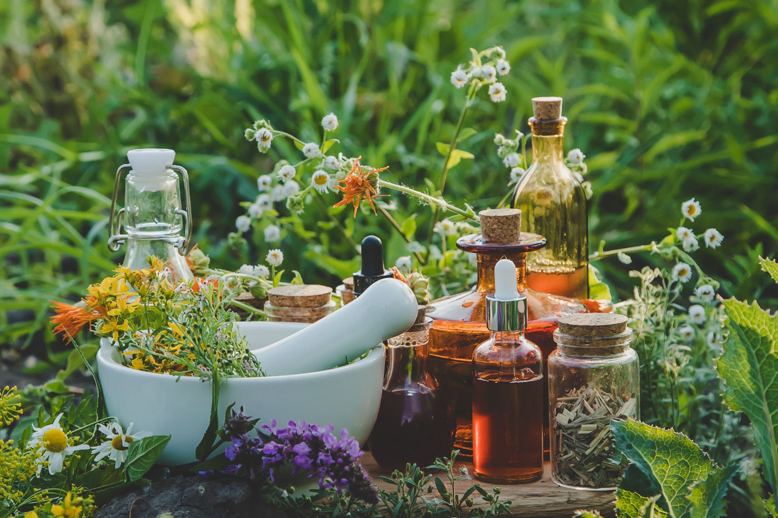 Asesoría personalizada en Bloom Armonía Natural Valledupar
