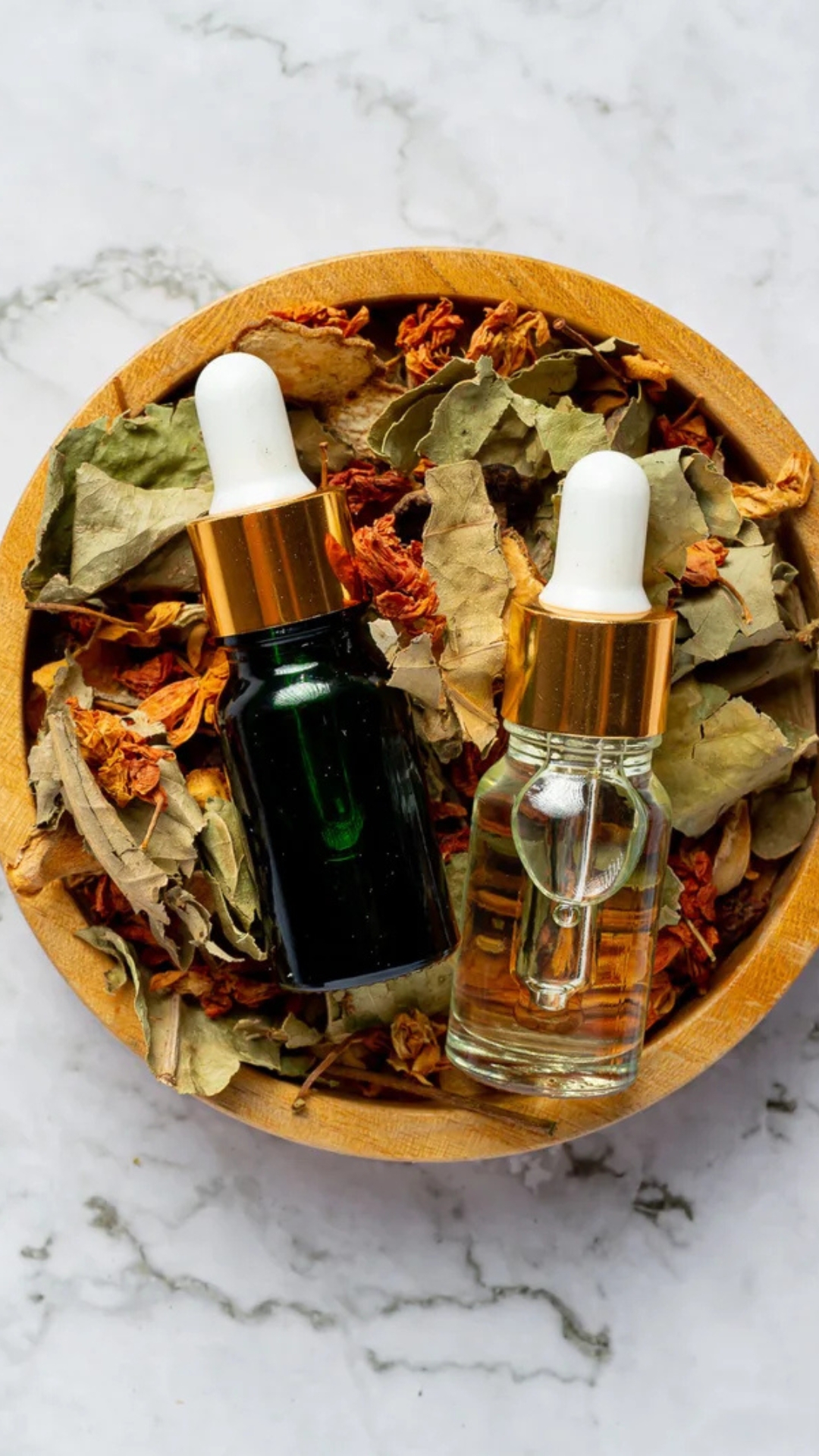 Logo oficial de Bloom Armonía Natural